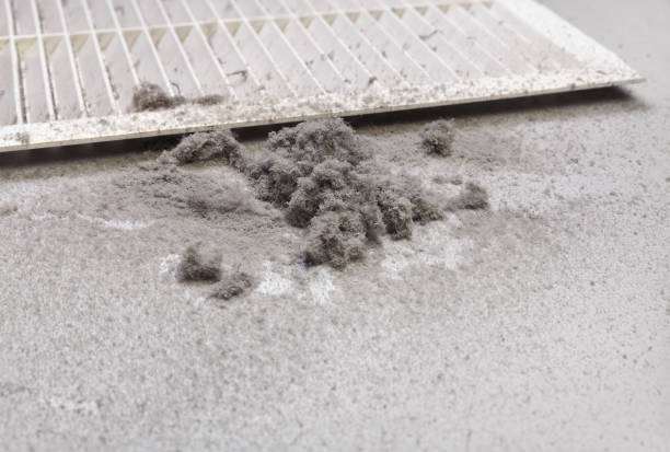 Best Ductwork Cleaning Services  in Homer, GA