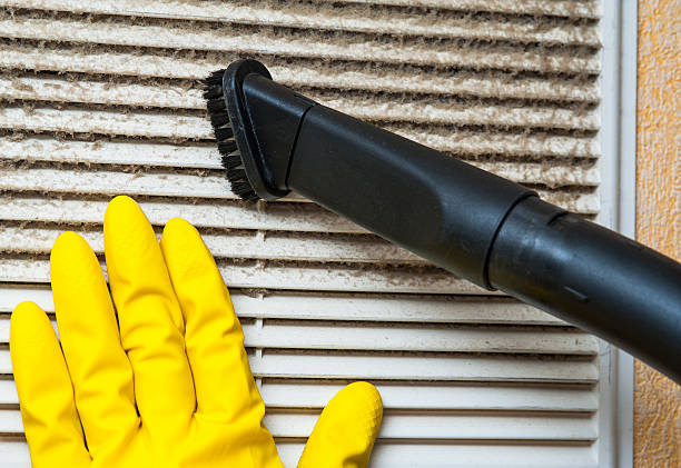 Best Ventilation Cleaning Services  in Homer, GA